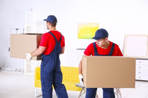 Illustration representing accessible Belgium removals services