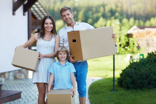 Professional van transport for furniture and boxes in Belgium